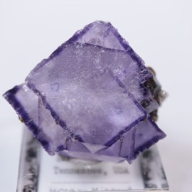 ����०�åɹۻ����ե����饤��