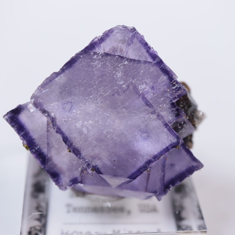 エルムウッド鉱山 フローライト | 鉱物標本,ハ行,フローライト