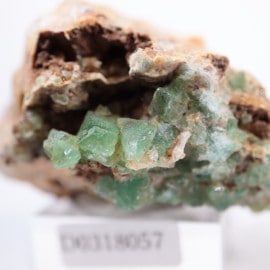 �Х륻���ʻ����ե����饤��