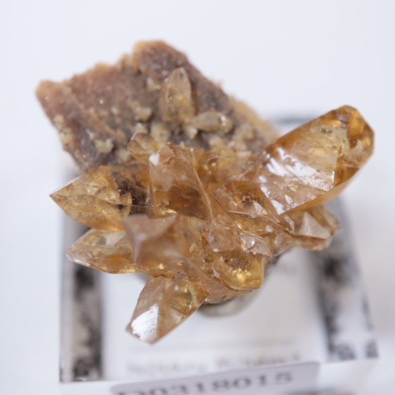 バライト上のボトリオイド蛍石