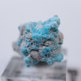 ���꡼�ԥ󥰥ӥ塼�ƥ�����������������