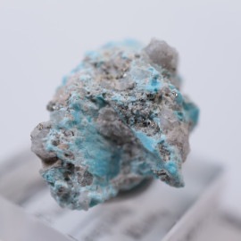 ���꡼�ԥ󥰥ӥ塼�ƥ�����������������