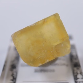 El Hammam�ۻ����ե����饤��