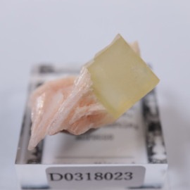 El Hammam�ۻ����ե����饤��