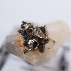 ������ӥ������ѥ��饤�ȡ����륵����