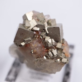 ������ӥ������ѥ��饤��