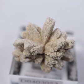 �����ե����󻺡����쥹������