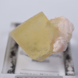 El Hammam�ۻ����ե����饤��