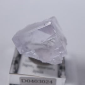 Llamas Quarry�����ե����饤��