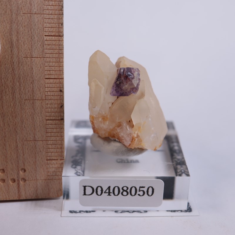 八面体 フローライト 水晶 共生 鉱物 標本 原石 八面体 フローライト 水晶 共生 鉱物 標本 原石 【公式通販】