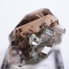 �����ꥢ�������⡼������������