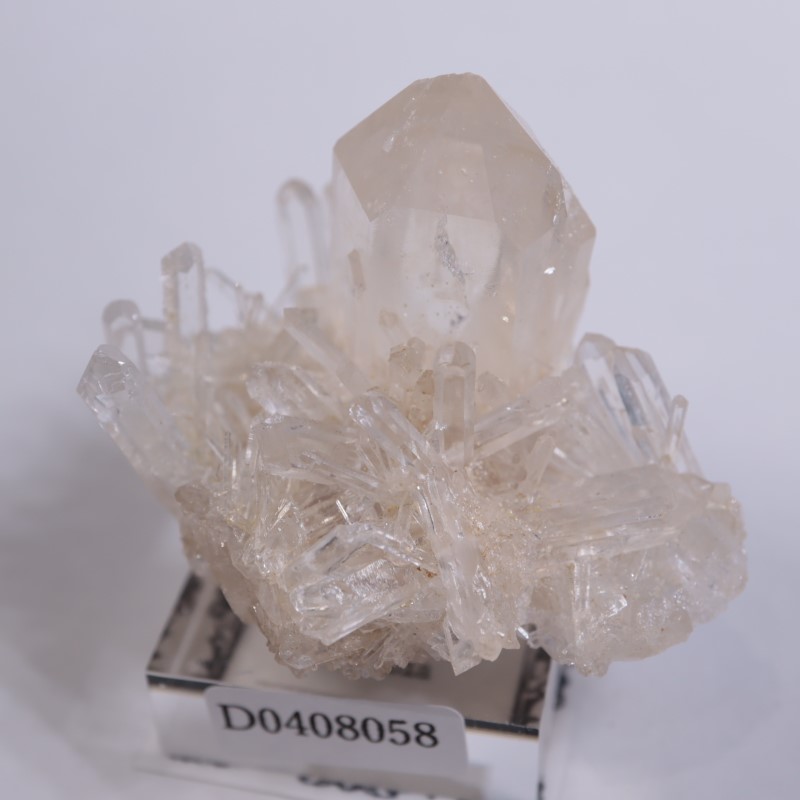 コロンビア産 水晶 | 鉱物標本,カ行,クォーツ/水晶 | ほたるみねらる