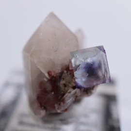 ������ɽ����徽with����