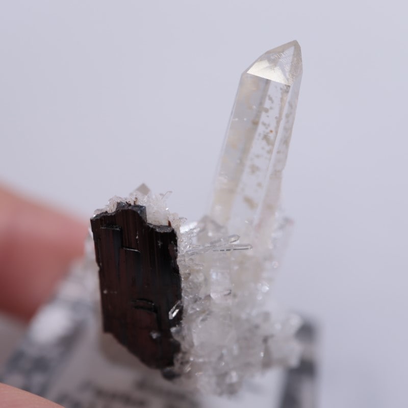 ペルー産 水晶withマンガン重石 | 鉱物標本,カ行,クォーツ/水晶