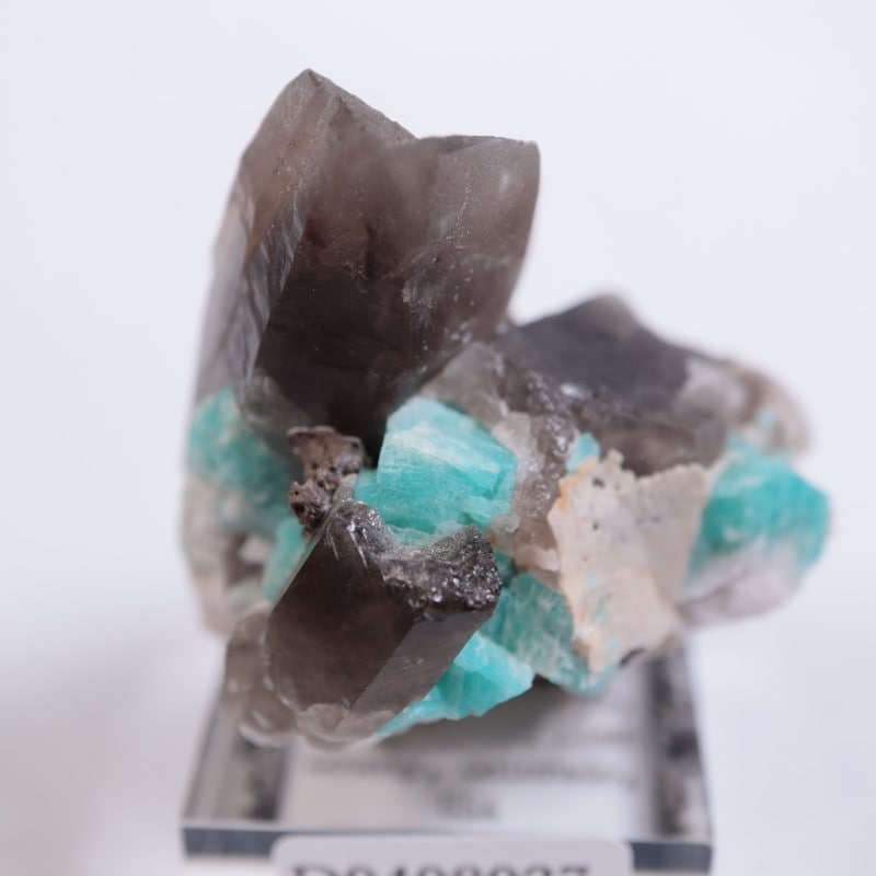 ★特別ご提供★希望の石☆【アマゾナイト『ホープストーン』ラウンド連】❤ コロラド州 アマゾナイトwith煙水晶 | 鉱物標本,タ行,長石