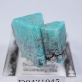 ������ɽ������ޥ��ʥ���