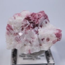 �˥塼�ᥭ������������