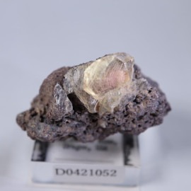 Sun Summit�ۻ������쥴�󥵥󥹥ȡ���