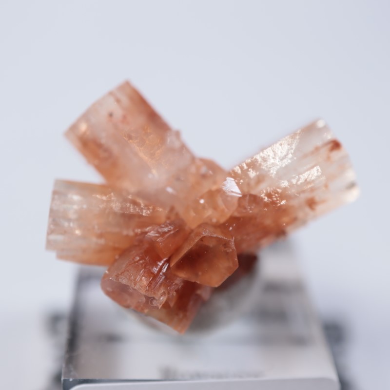 モロッコ産 アラゴナイト | 鉱物標本,ア行,アラゴナイト/霰石 | ほたる