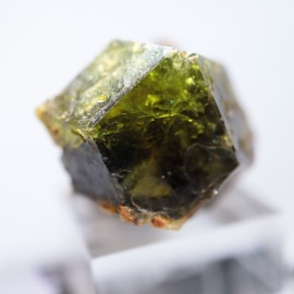 �ޥ껺�������ͥå�