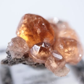 �����ե꡼�ۻ��������ͥå�