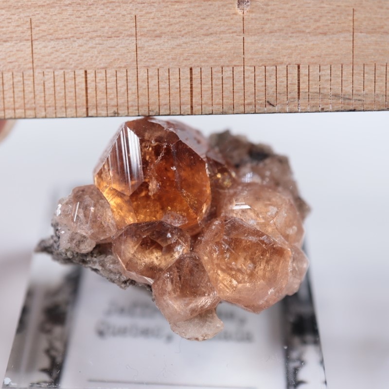 ジェフリー鉱山 ガーネット | 鉱物標本,カ行,ガーネットグループ/石榴