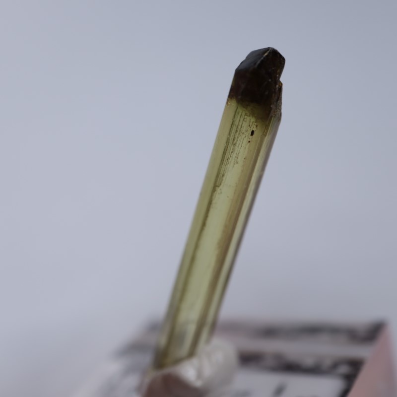中国産 トルマリン | 鉱物標本,タ行,トルマリン/電気石 | ほたるみねら
