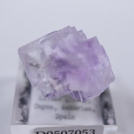 Llamas�����ե����饤��