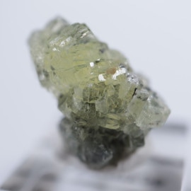 ���󥶥˥������ץ�ʥ���