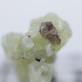 ���󥶥˥������ץ�ʥ���