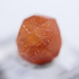 ���󥶥˥��������ڥ���ƥ��󥬡��ͥå�