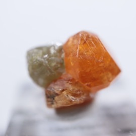 ���󥶥˥��������ڥ���ƥ��󥬡��ͥå�