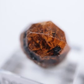 ���󥶥˥��������ڥ���ƥ��󥬡��ͥå�