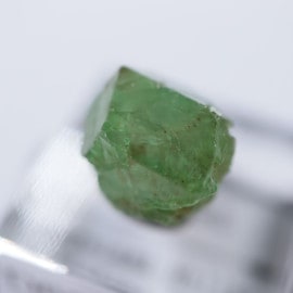 ���󥶥˥������ߥ�ȥ��꡼�󥬡��ͥå�