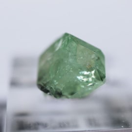 ���󥶥˥������ߥ�ȥ��꡼�󥬡��ͥå�