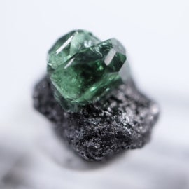 ���󥶥˥������ߥ�ȥ��꡼�󥬡��ͥå�