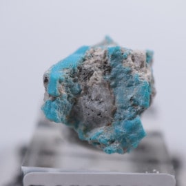 ���꡼�ԥ󥰥ӥ塼�ƥ����ۻ�������������