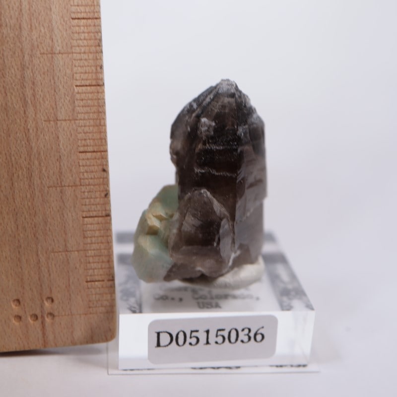 コロラド州 アマゾナイト、煙水晶 | 鉱物標本,サ行,スモーキークォーツ