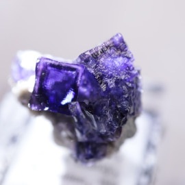 ����०�åɹۻ����ե����饤��