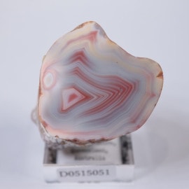 �������ȥ��꡼��������������