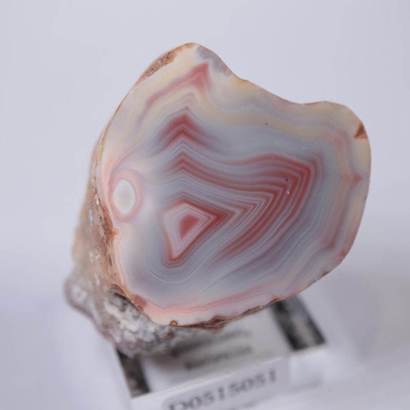 【コレクターズアイテム】アゲートクリーク・アゲート 000000005451_2_YF457uj.jpg