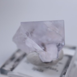 Llamas�����ե����饤��