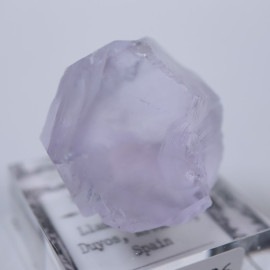 Llamas�����ե����饤��