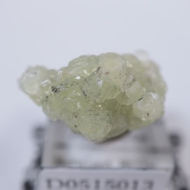 ���󥶥˥������ץ�ʥ���