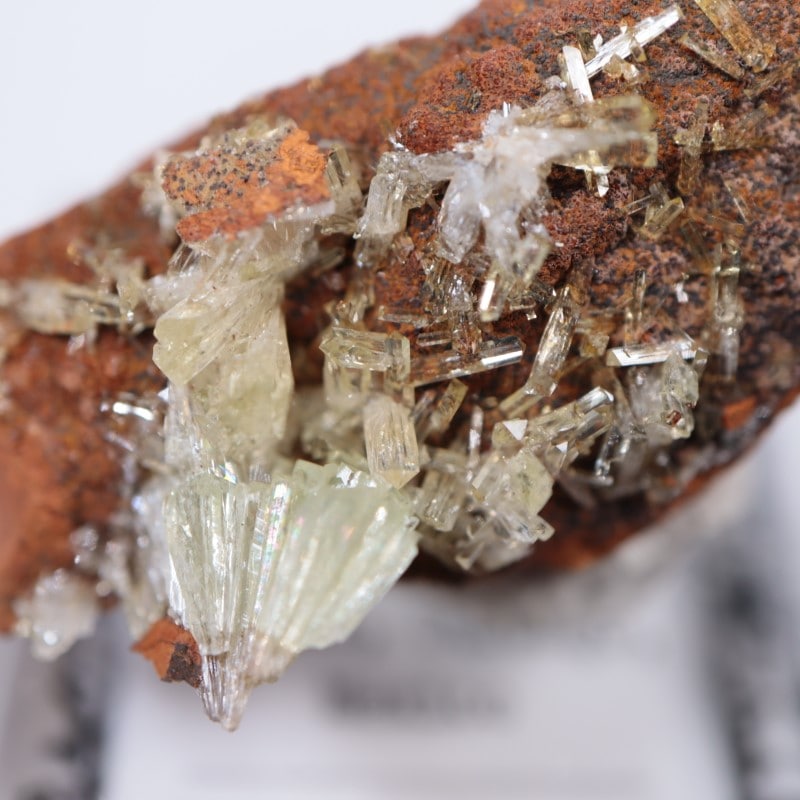 オハエラ鉱山 アダマイト | 鉱物標本,ア行,アダマイト/アダム鉱