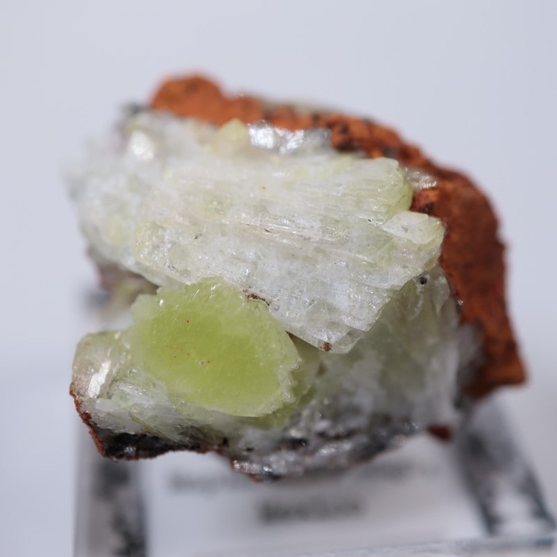 オハエラ鉱山 アダマイト | 鉱物標本,ア行,アダマイト/アダム鉱