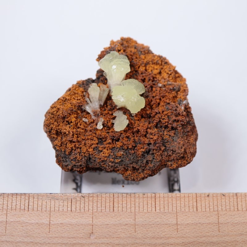 オハエラ鉱山 アダマイト | 鉱物標本,ア行,アダマイト/アダム鉱