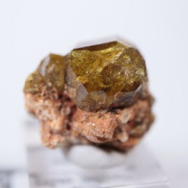 �ޥ껺�������ͥå�