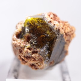 �ޥ껺�������ͥå�