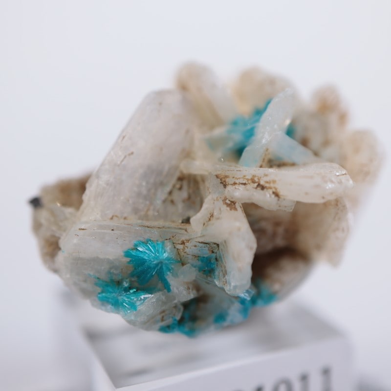 インド産 カバンサイト | 鉱物標本,カ行,カバンサイト/カバンシ